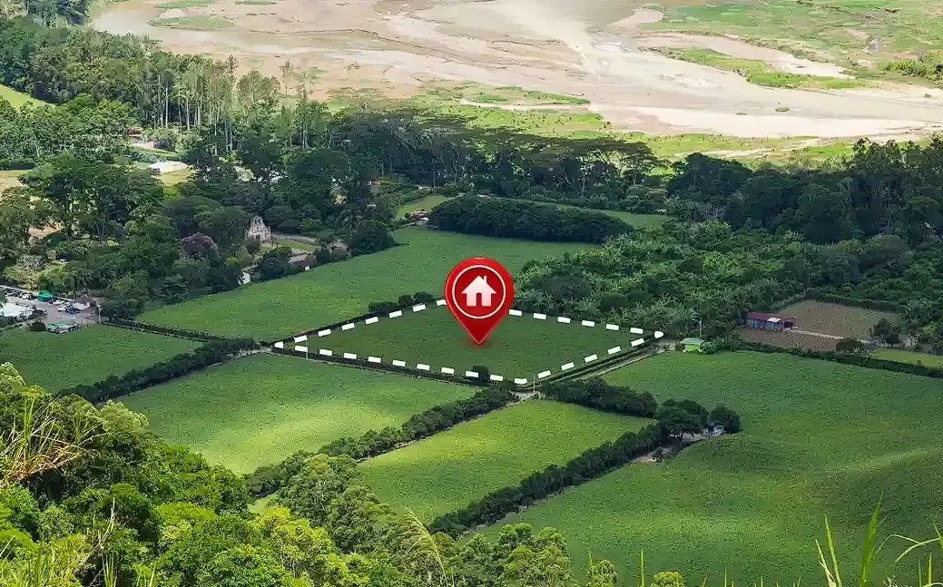 İzmir, Dikili, Arsa Yatırımcılarının Yeni Gözdesi Oldu!